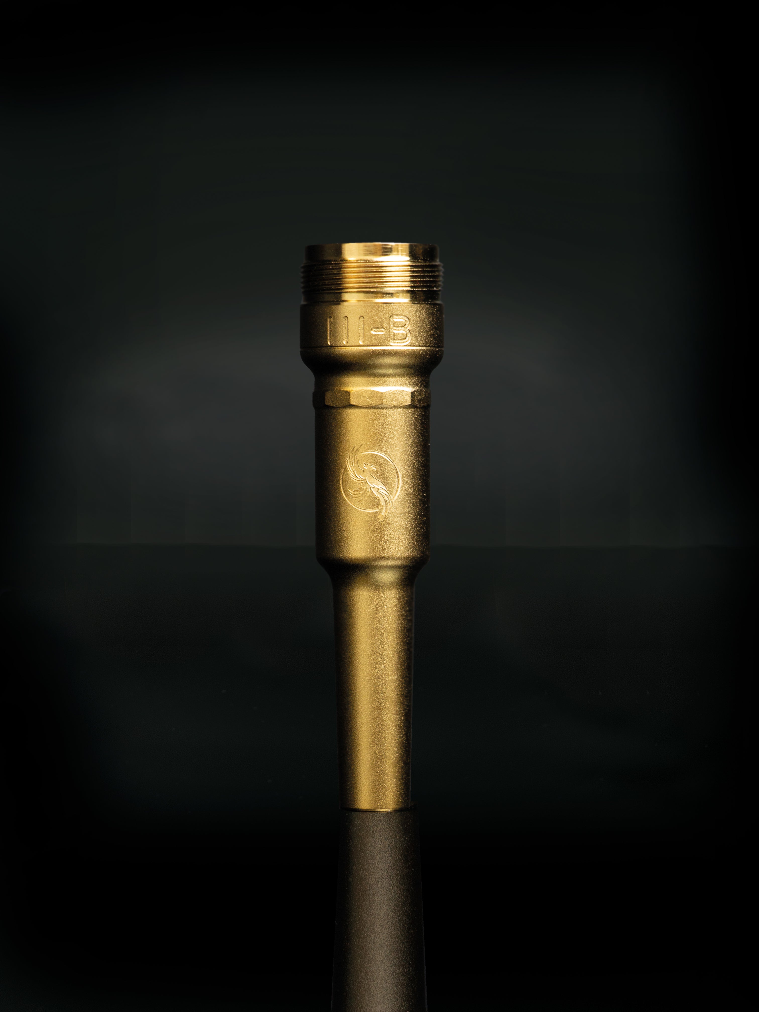 B – Elegance and warmth