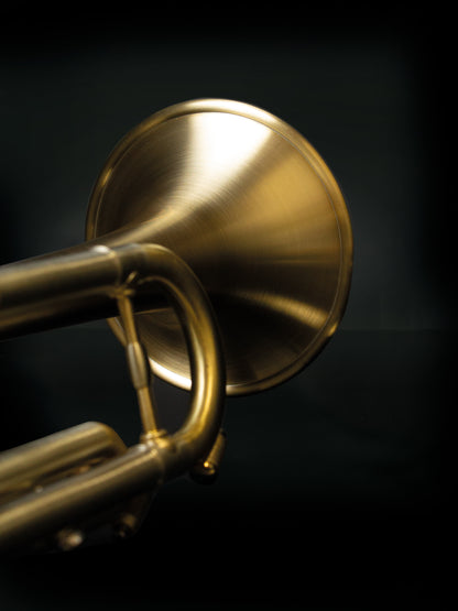 Trumpet Fenix B1