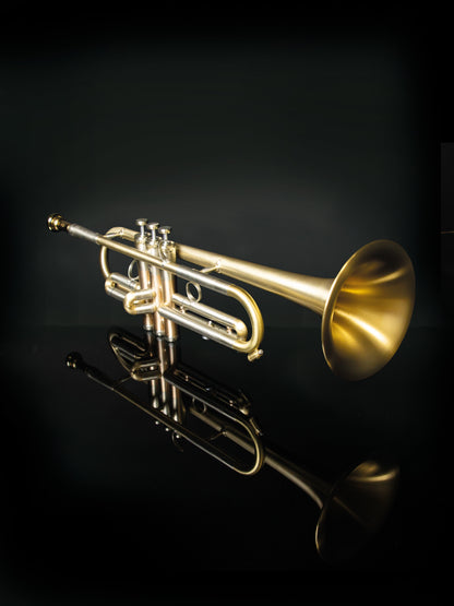 Trumpet Fenix B2